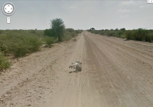 Von Google Street View Auto überfahrener Esel in Botswana